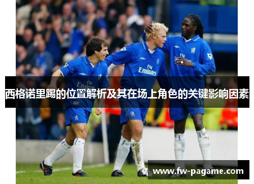 西格诺里踢的位置解析及其在场上角色的关键影响因素