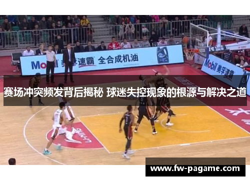 赛场冲突频发背后揭秘 球迷失控现象的根源与解决之道