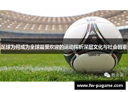 足球为何成为全球最受欢迎的运动探析深层文化与社会因素