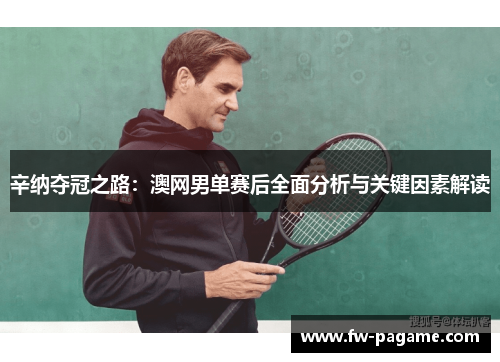 辛纳夺冠之路：澳网男单赛后全面分析与关键因素解读